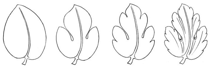 Evolución del trazado de una hoja simple.