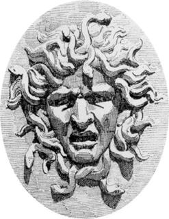 Cabeza de medusa (Doc. Raguenet).